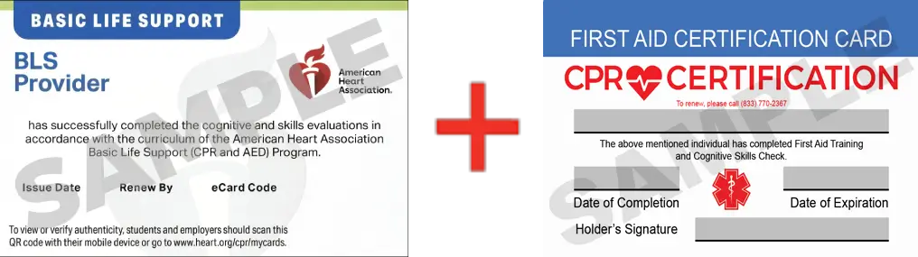 Sample American Heart Association AHA BLS CPR Card Certificaiton and First Aid Certification Card from CPR Certification Rock Hill
